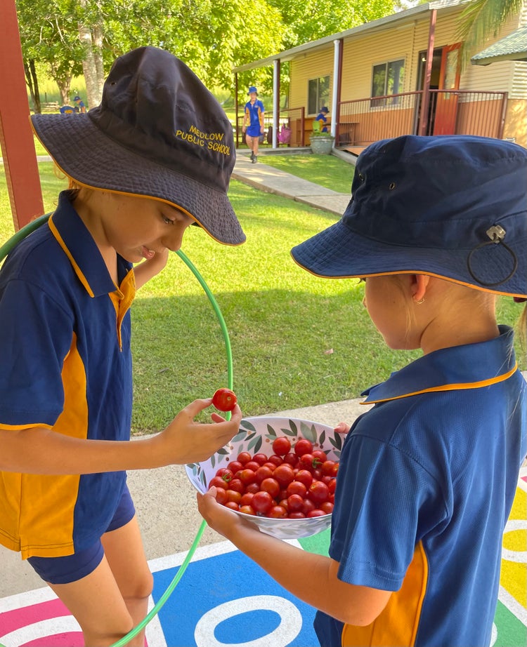 Photo of a student holding a bowl of tomatoes and another student taking a tomato from the bowl